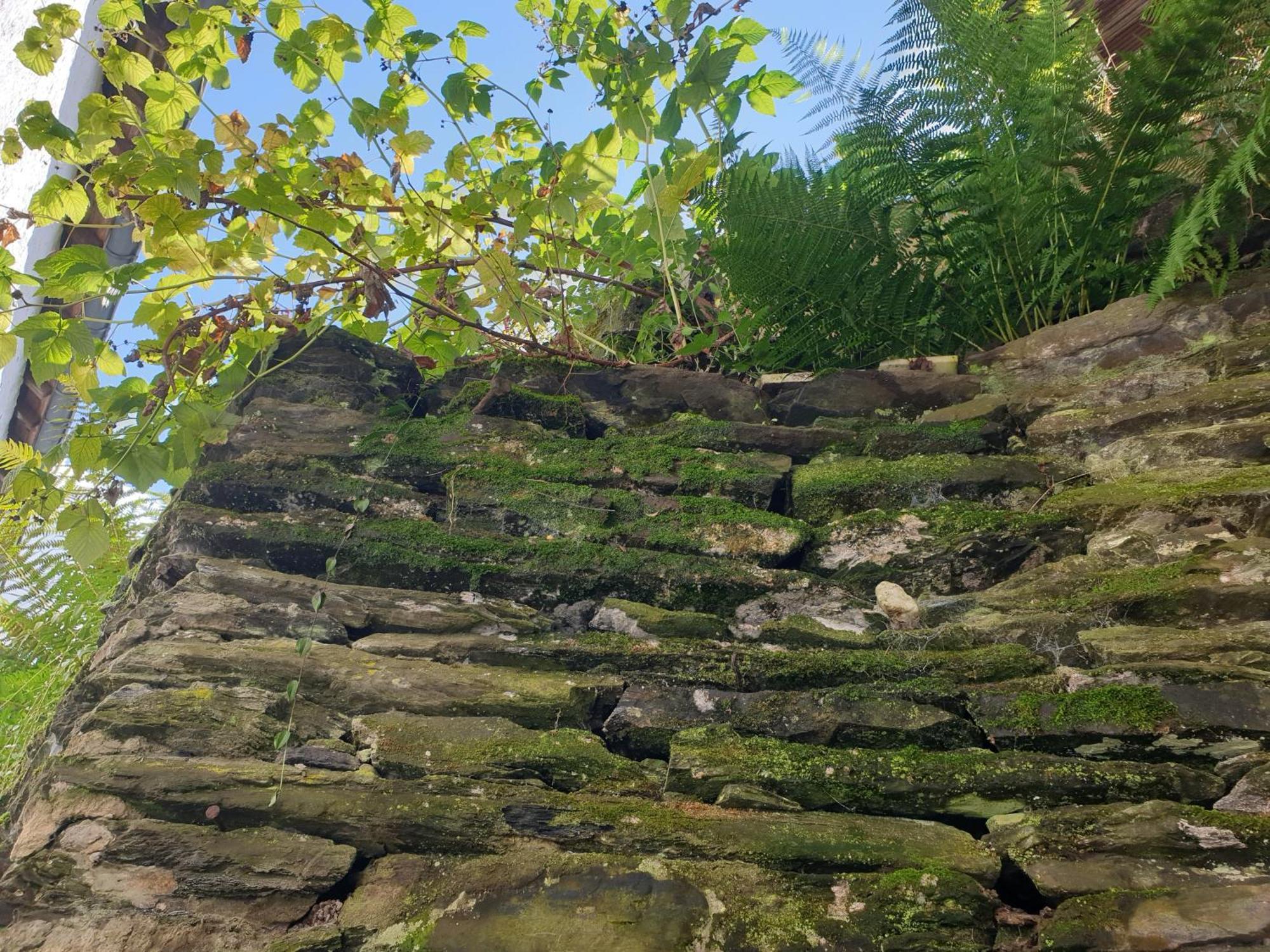 La Petite Romantique Martelange Exterior foto